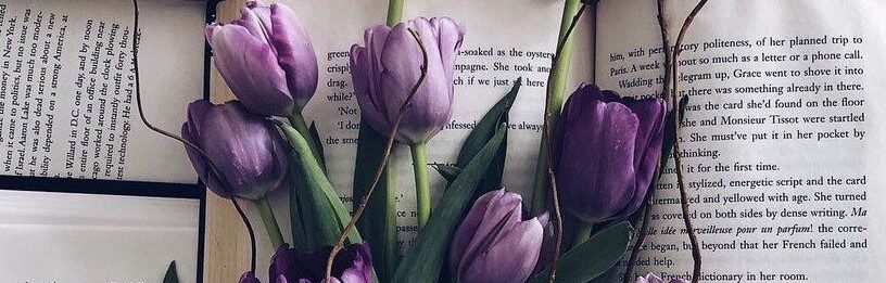Four Purple Walls: A Book Blog by Tiffany